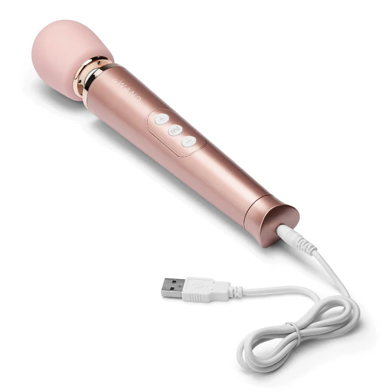 Le Wand Petite Replacement Charger - Sex Toy Accessories