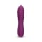10 Function Silicone Vibe