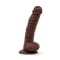8" Realistic Dildo with Suction Cup - Brown