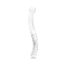 11" Glass Double-Ended Pelvic Wand