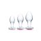 3-Piece Heart Jewel Glass Anal Training Set