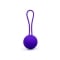 30g Kegel Ball