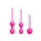 Le Wand 3-Piece Kegel Set
