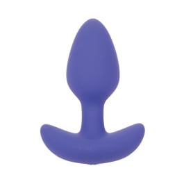 Connect App Control Vibrating Butt Plug (NEW) | Le Wand