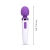 8 Function Classic Rechargeable Wand