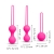 Le Wand Kegel Set (3 piece)