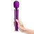 Le Wand Petite Squirting Set