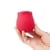 The Rose Suction Vibrator for Clit and Nipple Orgasms