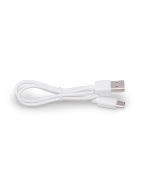Le Wand Classique Mini & Petite USB Charger