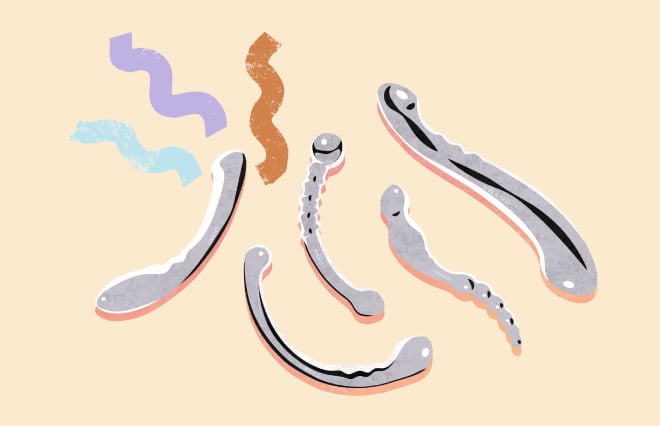 Stainless Steel Sex Toys 101