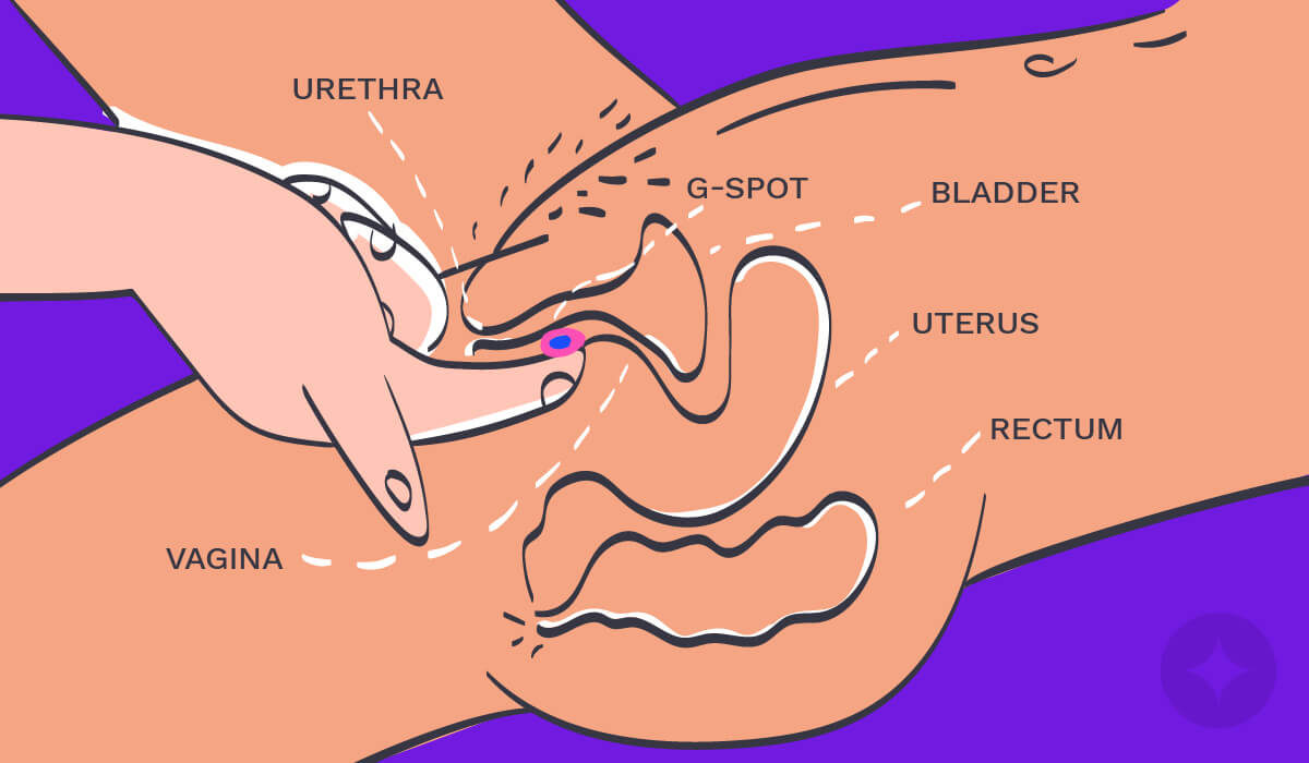 Learn to find out the location of the G-Spot.