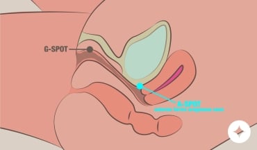The A-Spot: What It Is, Where to Find It, and How to Stimulate It