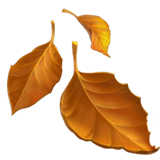 gift icon