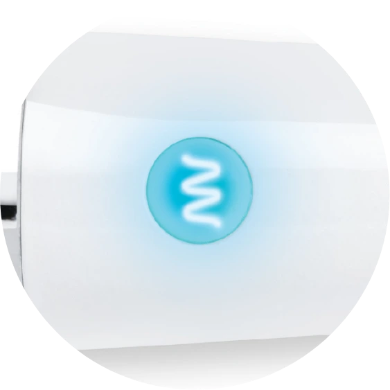 Le Wand Classique Mini