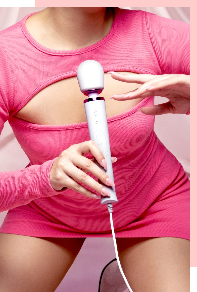 Le Wand Powerful Petite Plug-In Massager