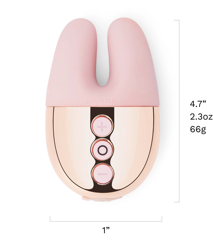 Le Wand Chrome Double Vibe