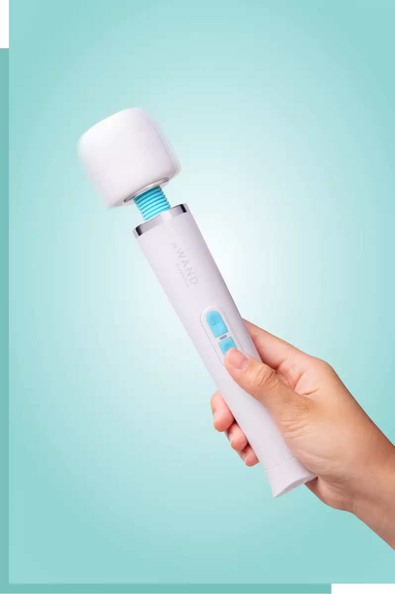 Le Wand Classique Cordless Petite