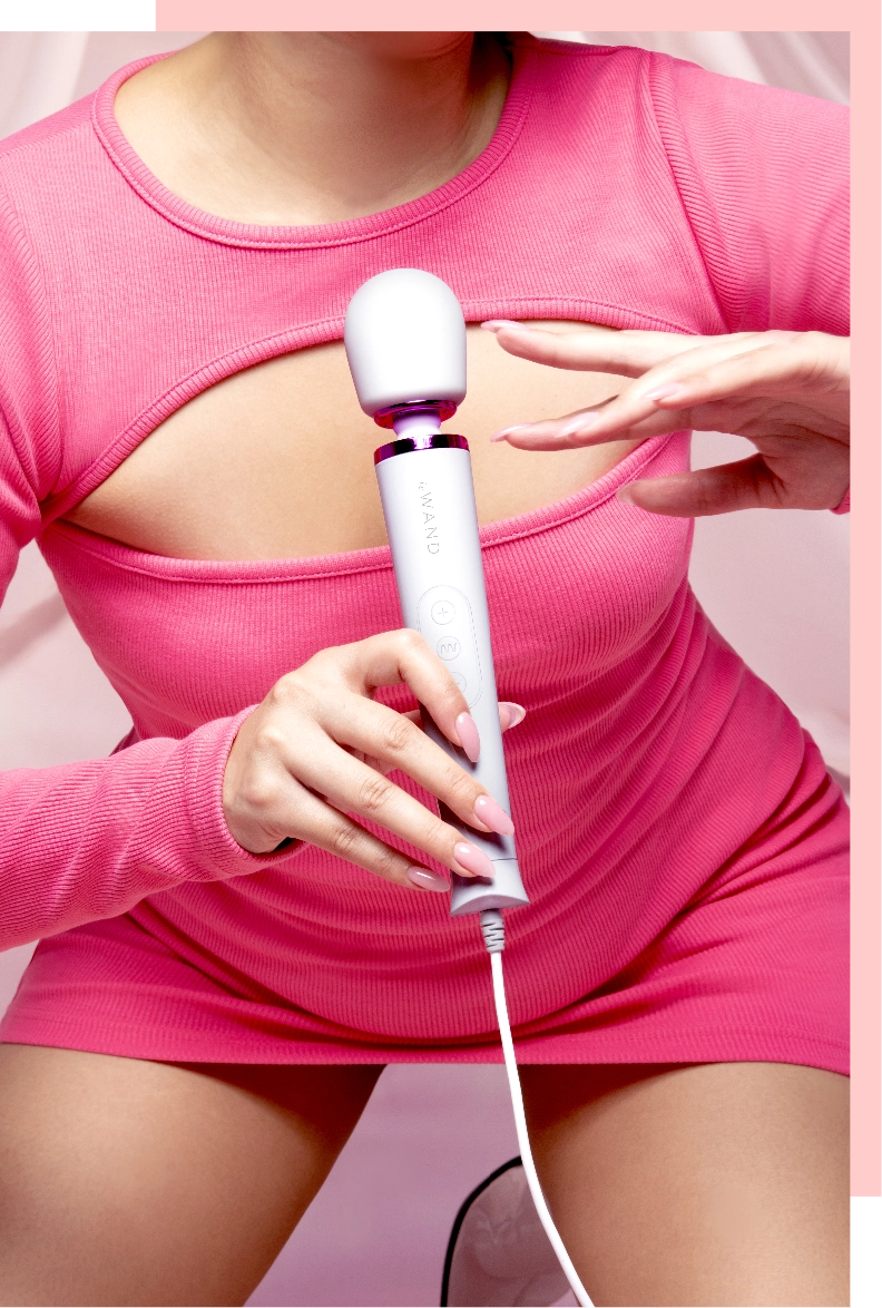 Le Wand Powerful Petite Plug-In Massager