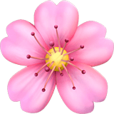 gift icon
