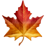 gift icon