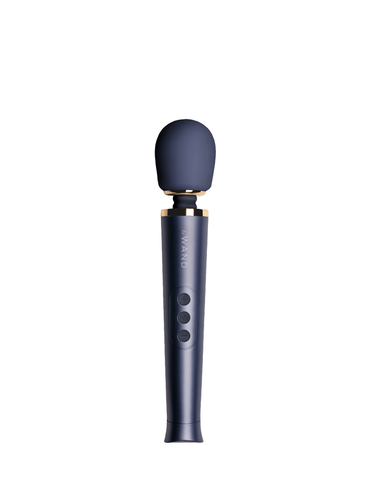 Le Wand Petite Rechargeable Massager